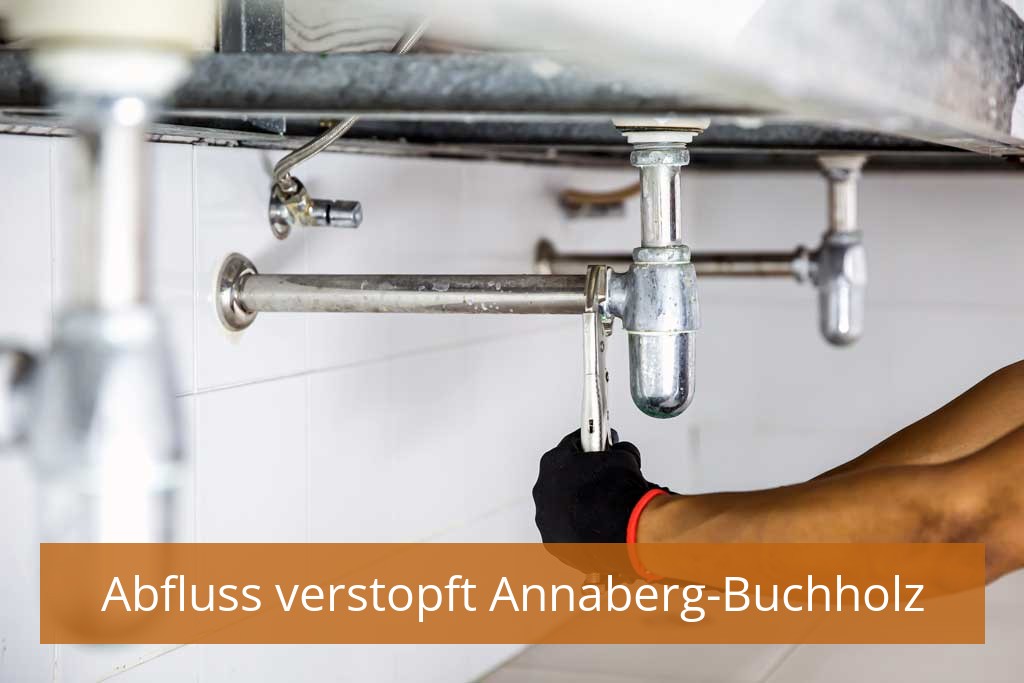 Abfluss verstopft Annaberg-Buchholz